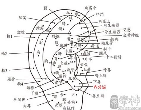 耳朵痣的位置|耳朵痣相：你的潛在好運氣